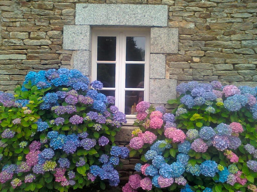 Le Petit Kerangoi Bed & Breakfast Пон-Авен Екстериор снимка